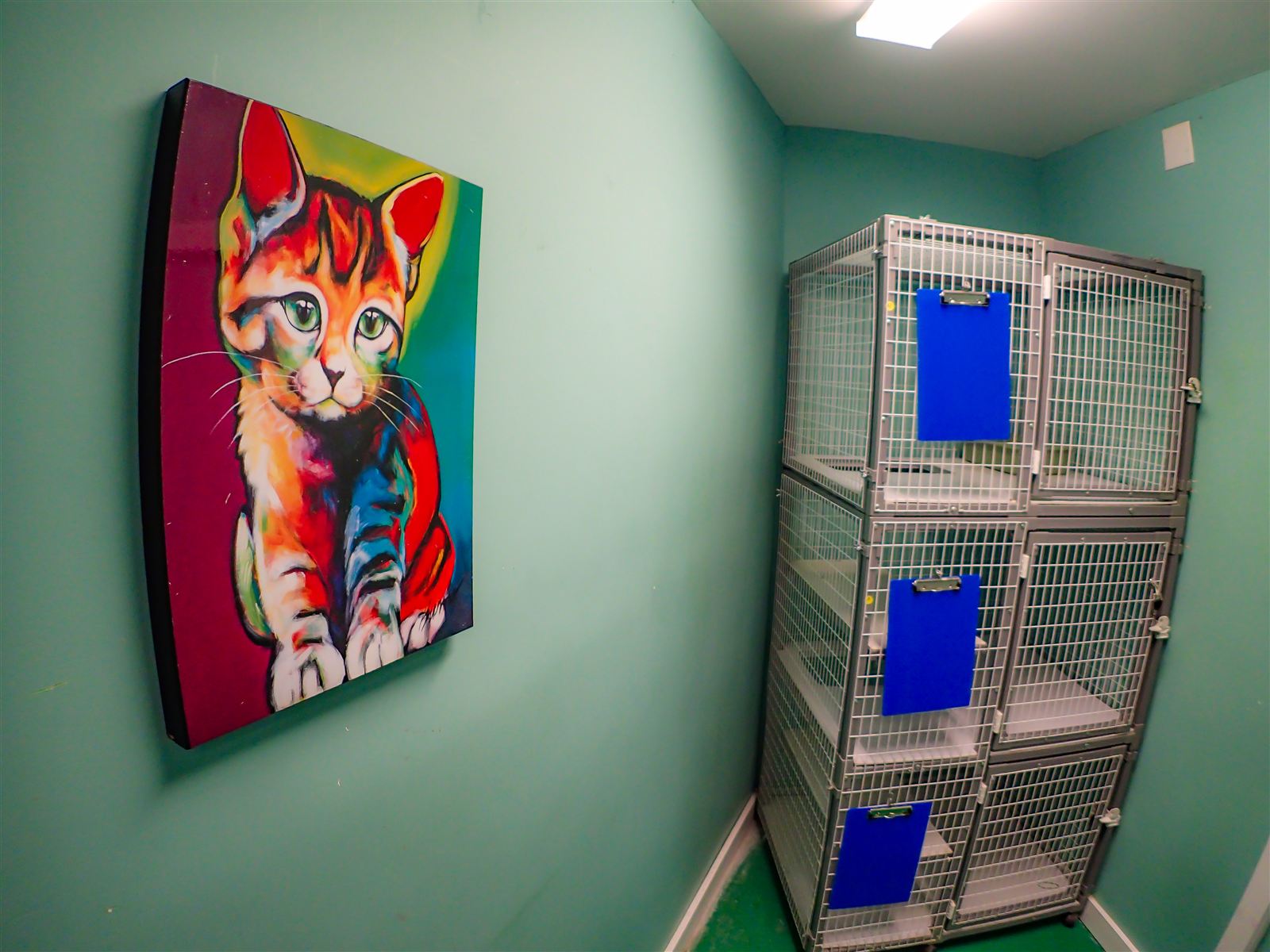The quiet cat boarding room with cat condos and a cat painting