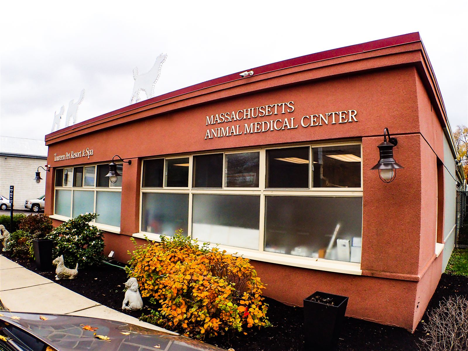 Massachusetts Animal Medical Center building on Pleasant Street in Watertown
