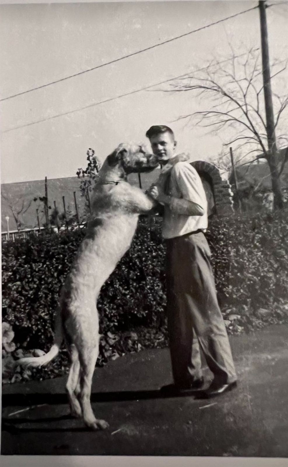 A young Kevin J. Callanan, MRCVS