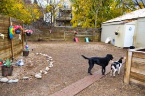 Spacious outdoor play areas at Neponset Animal Hospital