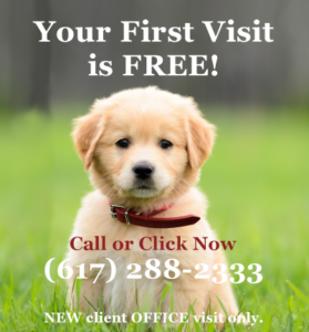 First Office Visit Free at Neponset Animal Hospital in Dorchester
