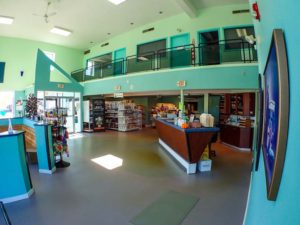 Spacious lobby and waiting areas at Rhode Island Animal Medical Center