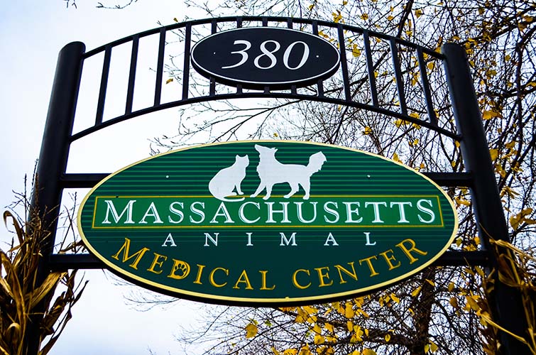 mass-animal-medical-center-watertown-ma - Callanan Veterinary Group