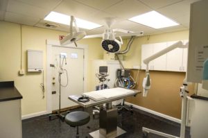 Modern surgical suites at Neponset Animal Hospital