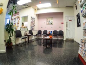Friendly and spacious waiting areas at Neponset Animal Hospital