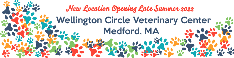 Wellington Circle Vet. Ctr Opening Late Summer 2022